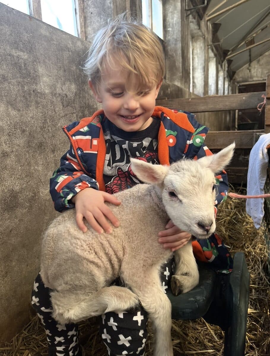 Een lachend kind met een lammetje op schoot in de stal